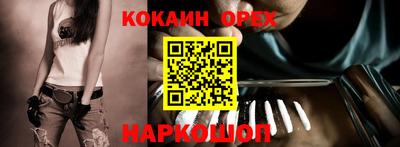 гашик Дубна