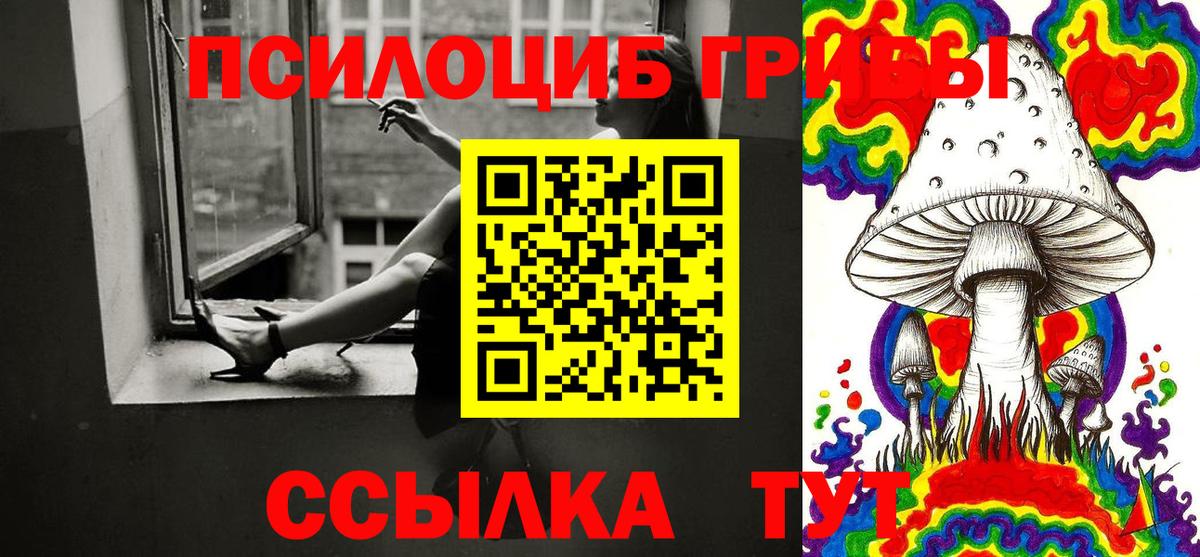Псилоцибиновые грибы прущие грибы  Вход с VPN  хочу наркоту  Можга 