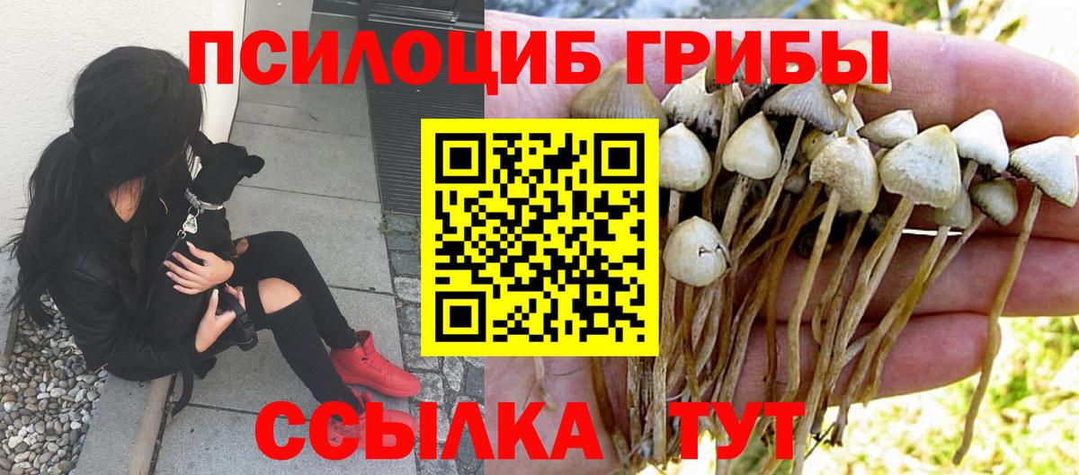 Галлюциногенные грибы мухоморы Можга